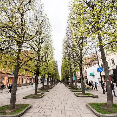 Royal In The City Center *